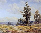 California Canvas Paintings - California In Bloom